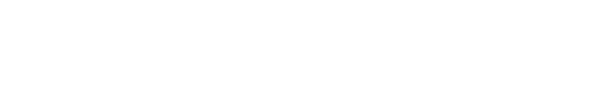 LM elettronica Logo